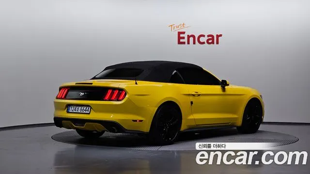 Ford Mustang Mach-E 2017 thumb 10