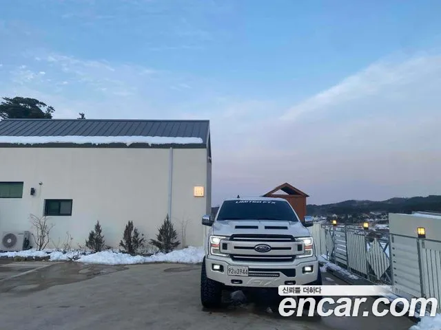 Ford F150 2019 thumb 2