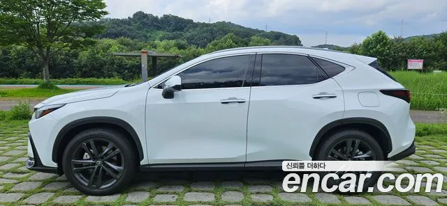 Lexus NX 2026 thumb 5
