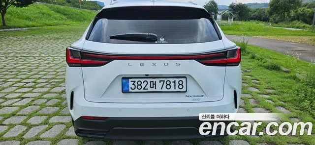Lexus NX 2026 thumb 8