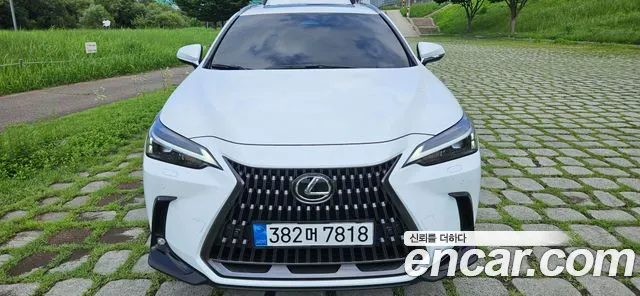 Lexus NX 2026 thumb 4