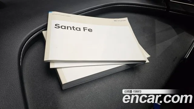 Hyundai Santa Fe 2019 thumb 11