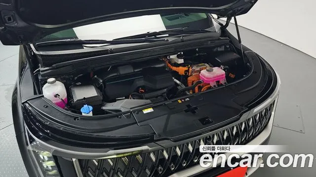 Kia Carnival 2024 thumb 12
