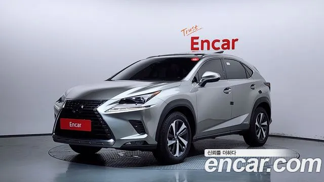 Lexus NX 2019 thumb 4
