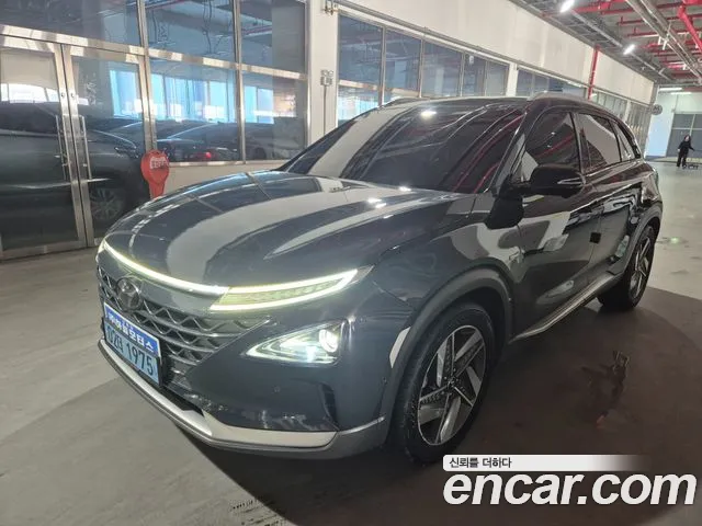 Hyundai Nexo 2019 thumb 10