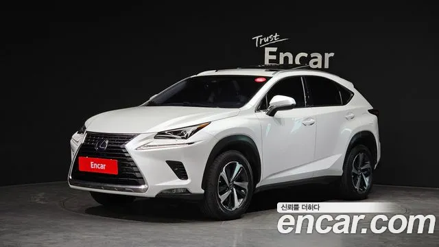 Lexus NX 2019 thumb 9