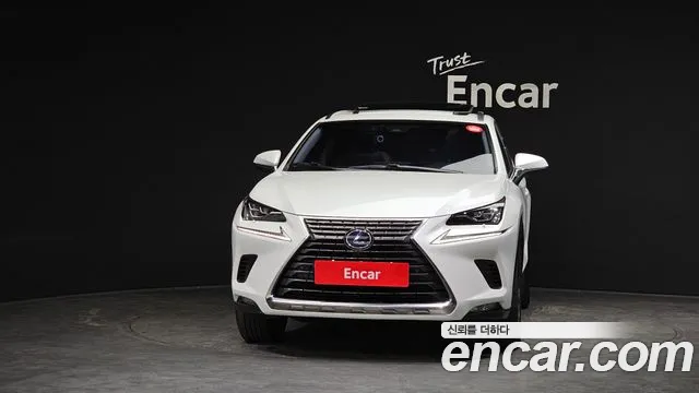 Lexus NX 2019 thumb 8