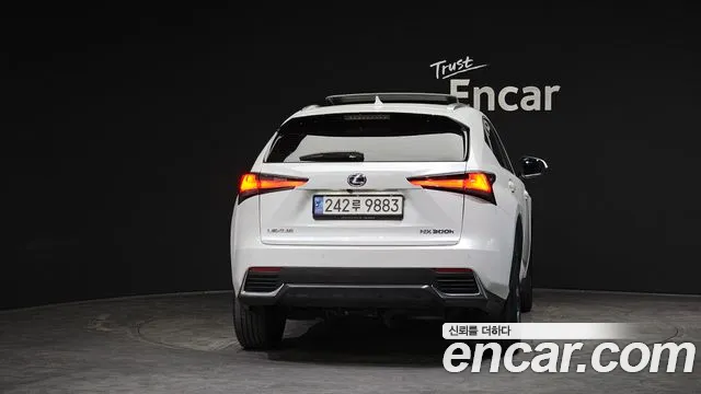 Lexus NX 2019 thumb 12