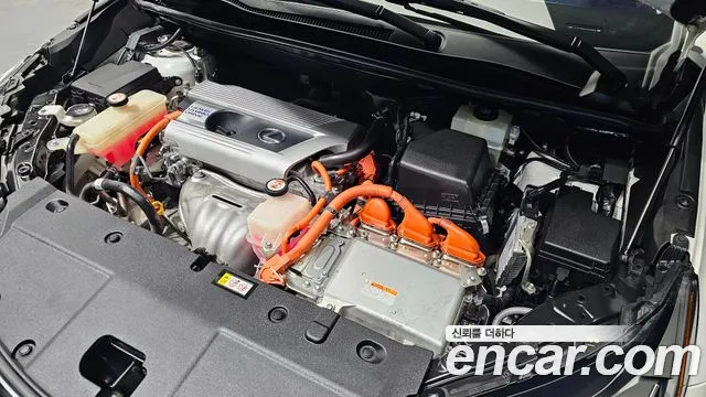 Lexus NX 2019 thumb 6