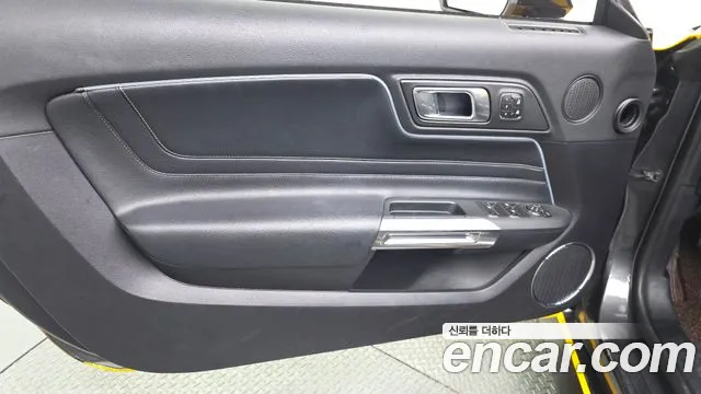 Ford Mustang Mach-E 2019 thumb 11