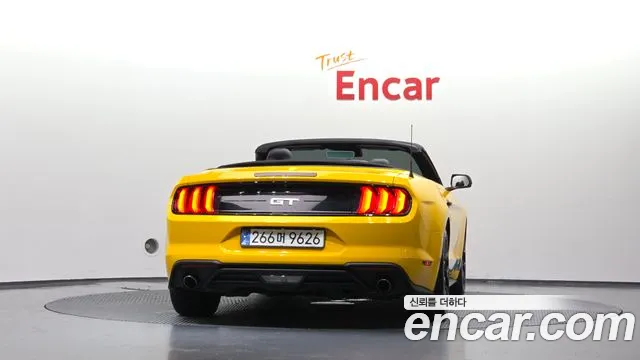 Ford Mustang Mach-E 2019 thumb 6