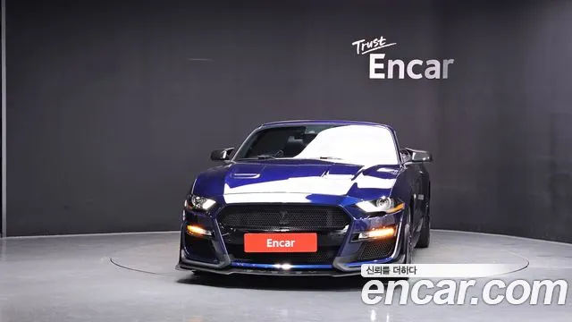 Ford Mustang Mach-E 2019 thumb 12