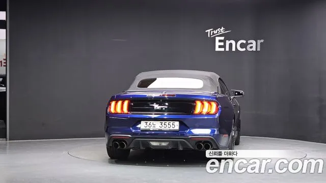 Ford Mustang Mach-E 2019 thumb 11