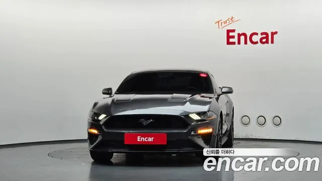 Ford Mustang Mach-E 2018 thumb 8
