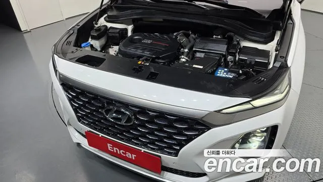 Hyundai Santa Fe 2019 thumb 6