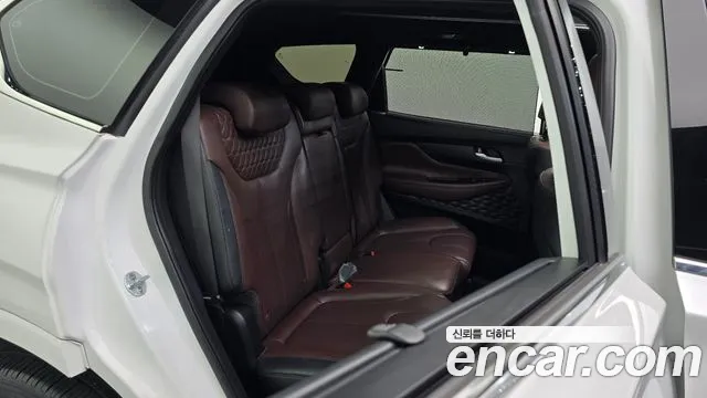 Hyundai Santa Fe 2019 thumb 12