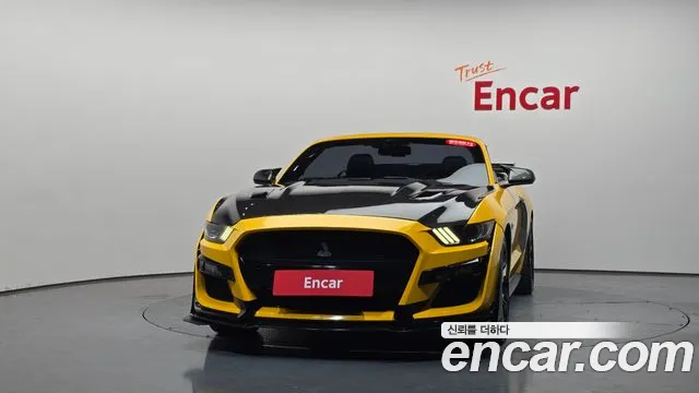 Ford Mustang Mach-E 2017 thumb 2