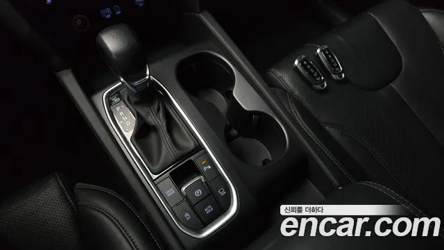 Hyundai Santa Fe 2019 thumb 9