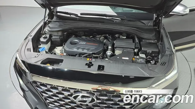 Hyundai Santa Fe 2019 thumb 6