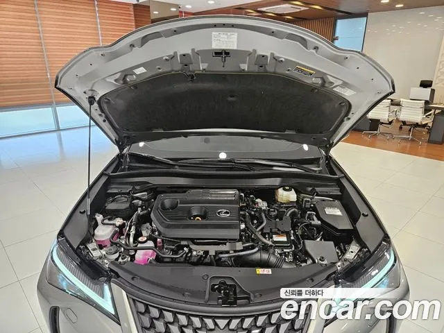 Lexus UX 2025 thumb 8