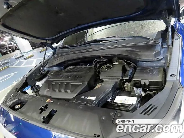 Hyundai Santa Fe 2019 thumb 6