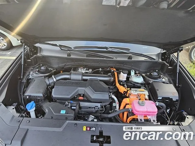 Hyundai Santa Fe 2025 thumb 6