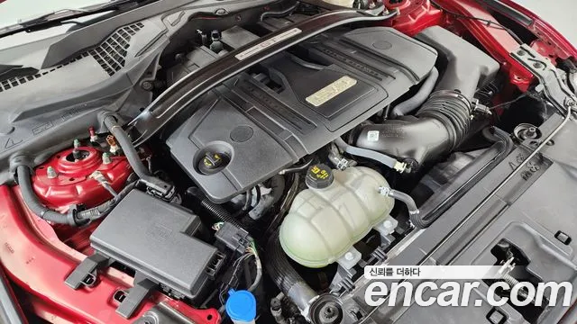 Ford Mustang Mach-E 2022 thumb 6
