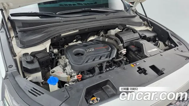 Hyundai Santa Fe 2019 thumb 6