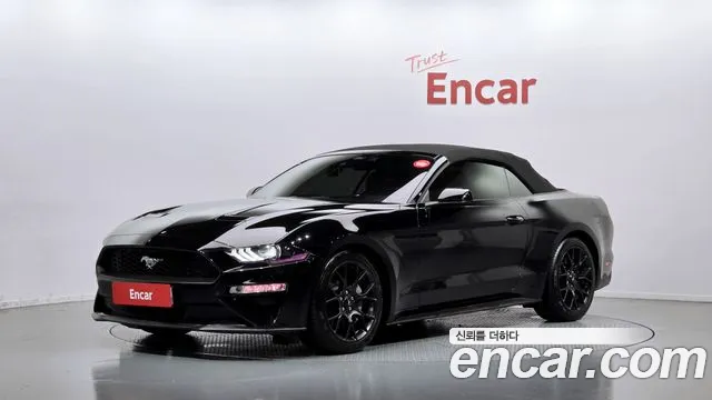 Ford Mustang Mach-E 2021 thumb 12