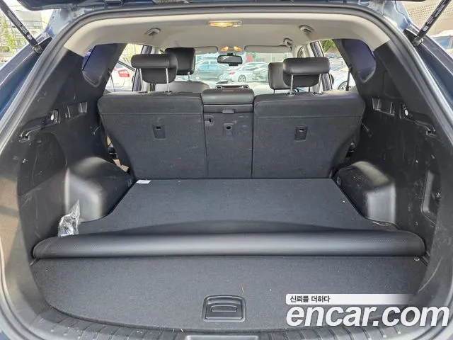 Hyundai Santafe 2016 thumb 12