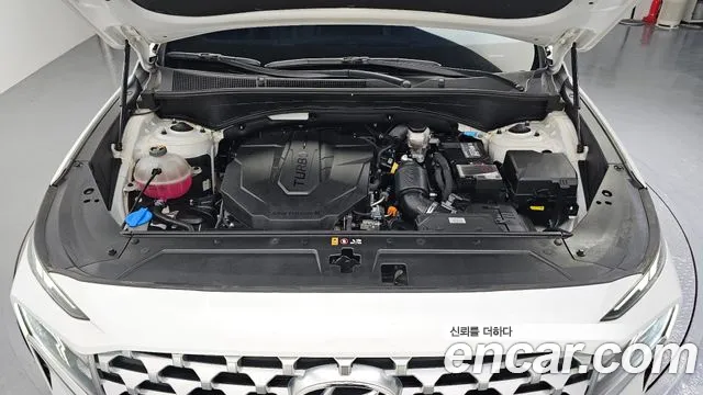 Hyundai Santa Fe 2021 thumb 6