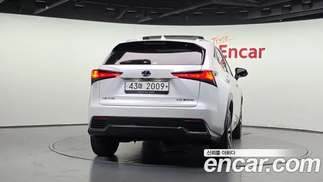 Lexus NX 2019 thumb 4
