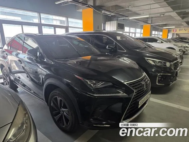 Lexus NX 2021 thumb 2