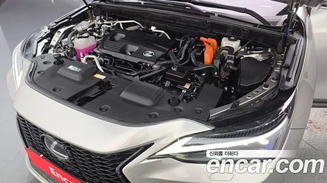 Lexus NX 2024 thumb 6