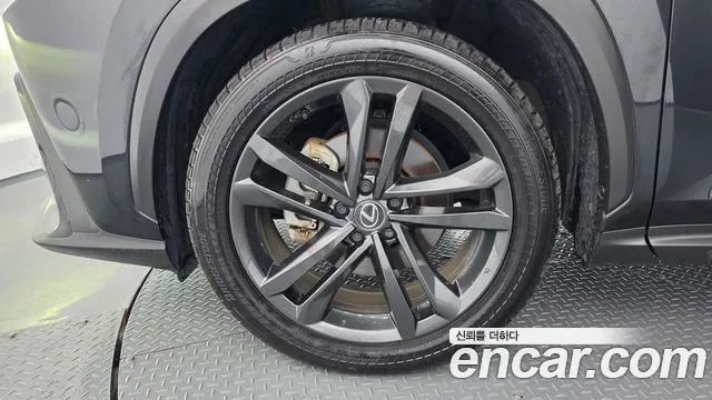Lexus NX 2024 thumb 5