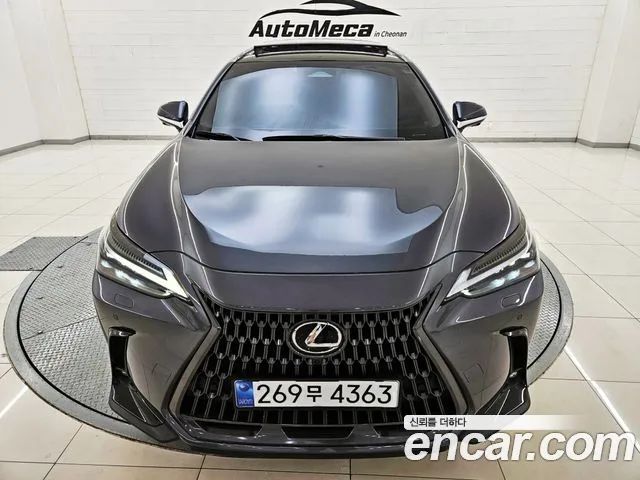 Lexus NX 2024 thumb 11