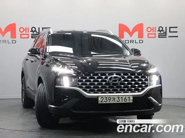 Hyundai Santa Fe 2020 thumb 2