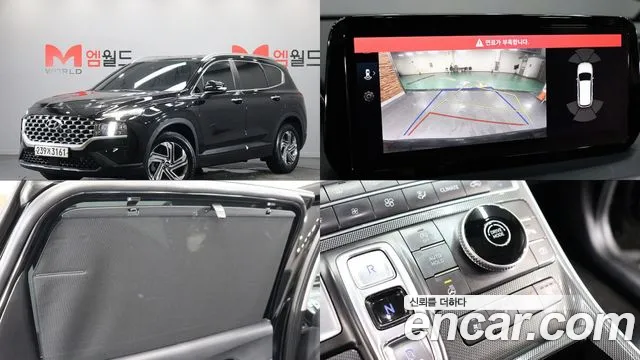 Hyundai Santa Fe 2020 thumb 11