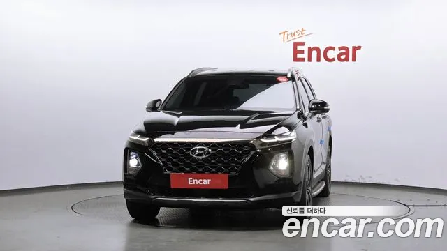 Hyundai Santa Fe 2019 thumb 3