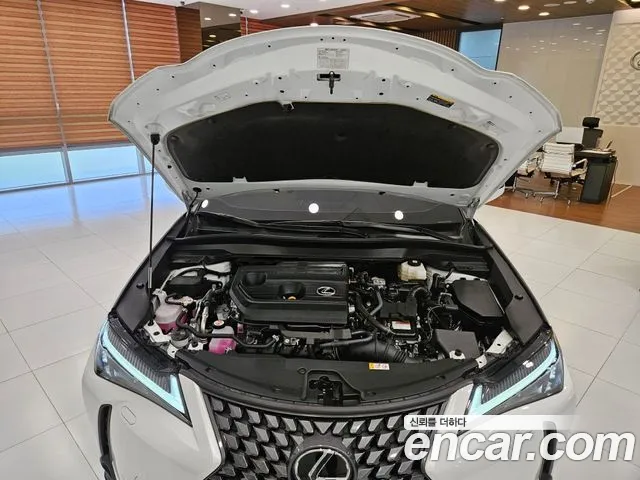 Lexus UX 2025 thumb 8