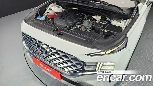 Hyundai Santa Fe 2020 thumb 6