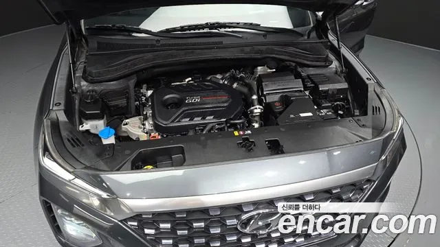 Hyundai Santa Fe 2019 thumb 6