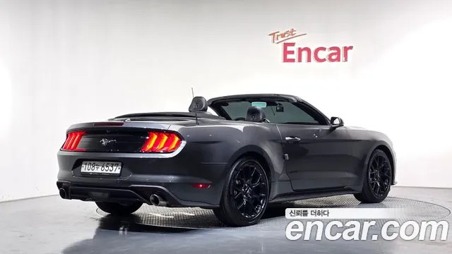 Ford Mustang Mach-E 2020 thumb 2
