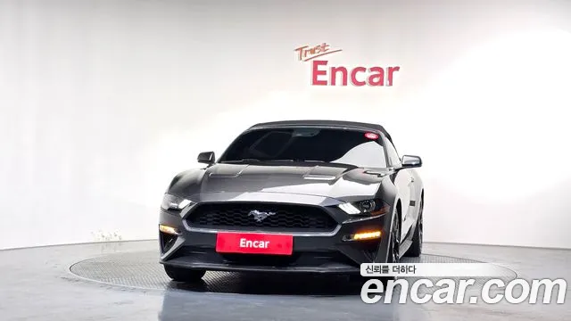 Ford Mustang Mach-E 2020 thumb 3
