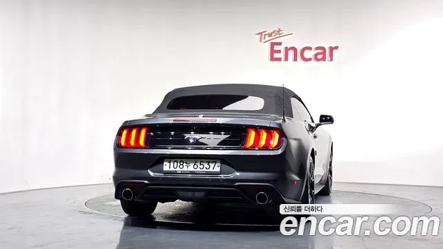 Ford Mustang Mach-E 2020 thumb 4