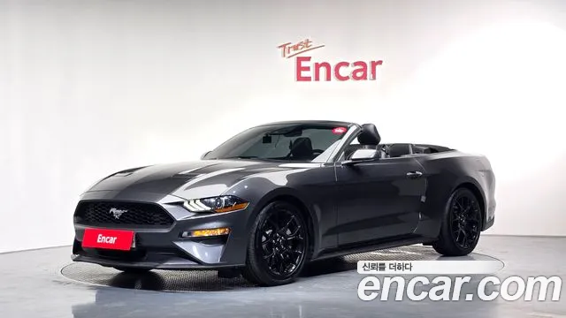 Ford Mustang Mach-E 2020 thumb 12