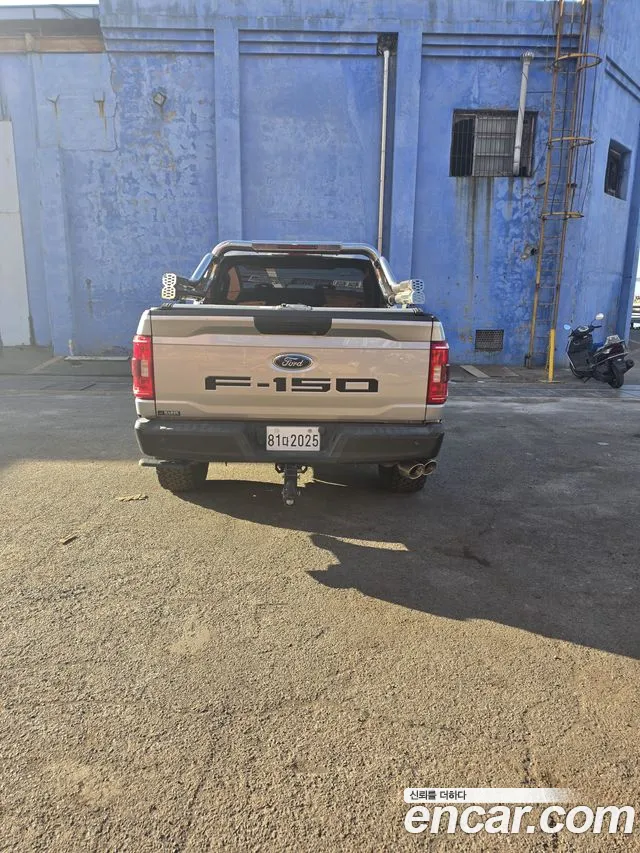 Ford F150 2021 thumb 2