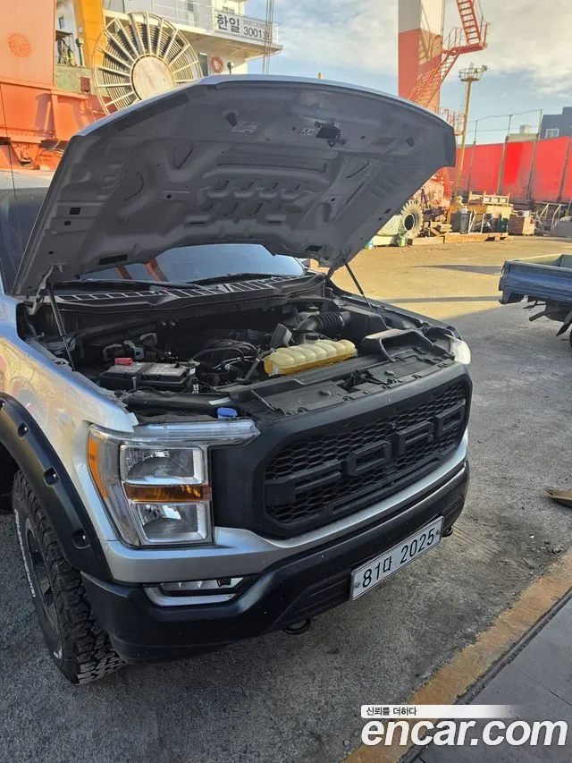 Ford F150 2021 thumb 6