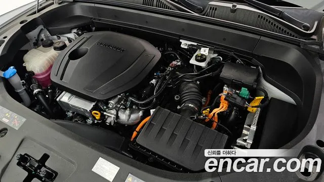 Renault-KoreaSamsung Koleos 2025 thumb 6