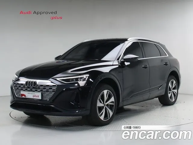 Audi Q8 e-tron 2024 thumb 12